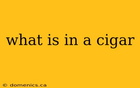 what is in a cigar