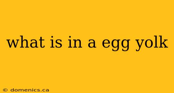 what is in a egg yolk