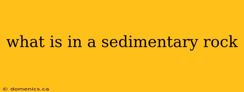 what is in a sedimentary rock