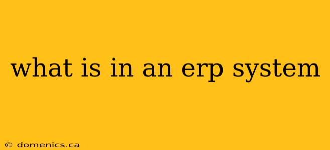 what is in an erp system