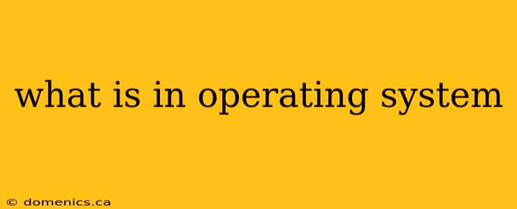 what is in operating system