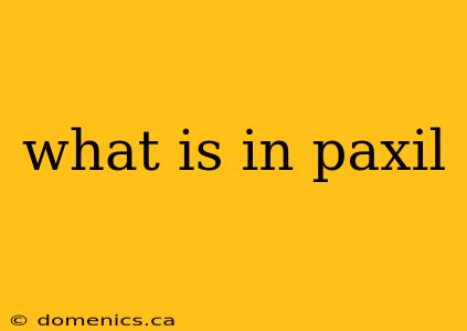 what is in paxil