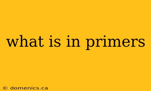 what is in primers