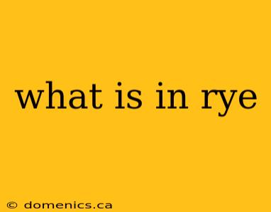 what is in rye