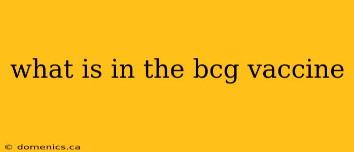 what is in the bcg vaccine