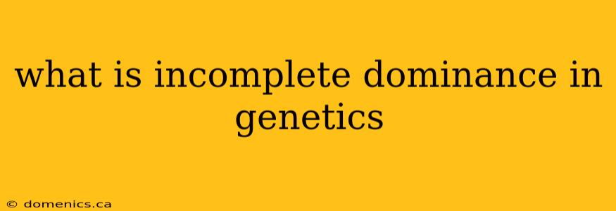 what is incomplete dominance in genetics