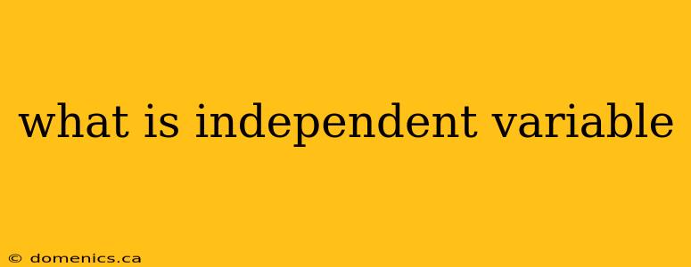 what is independent variable