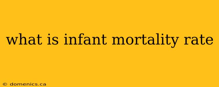 what is infant mortality rate