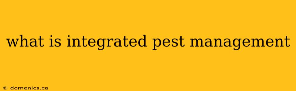 what is integrated pest management