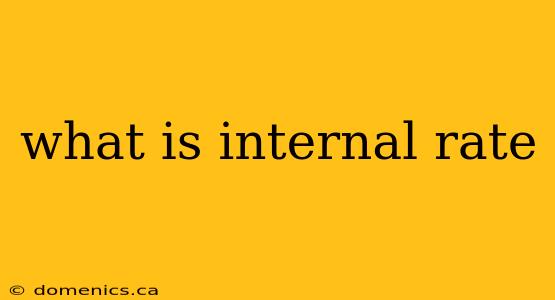 what is internal rate