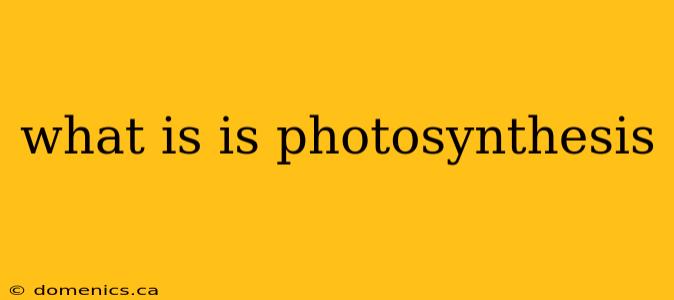 what is is photosynthesis