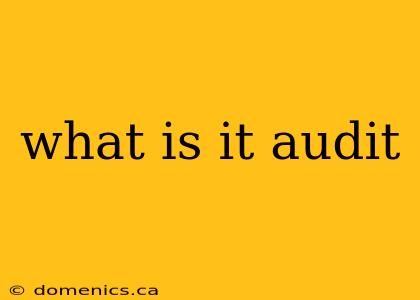 what is it audit