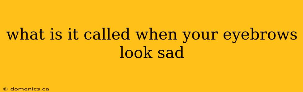 what is it called when your eyebrows look sad