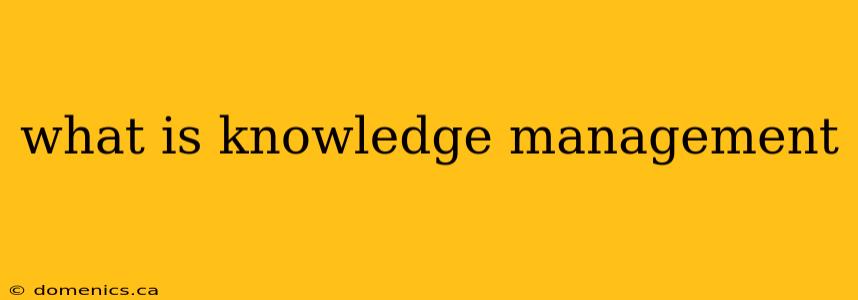 what is knowledge management