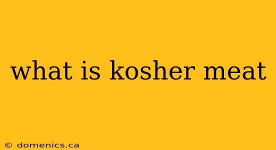 what is kosher meat