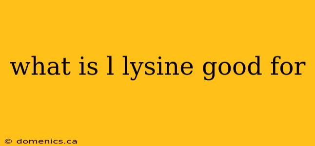 what is l lysine good for