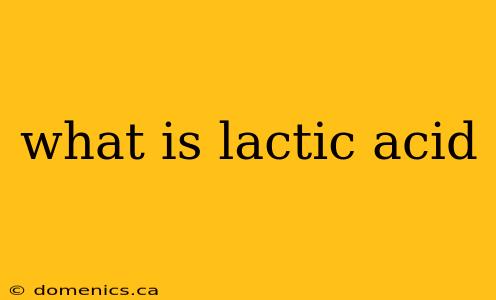 what is lactic acid