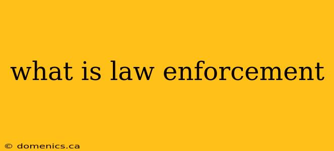 what is law enforcement