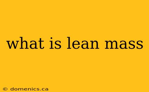 what is lean mass