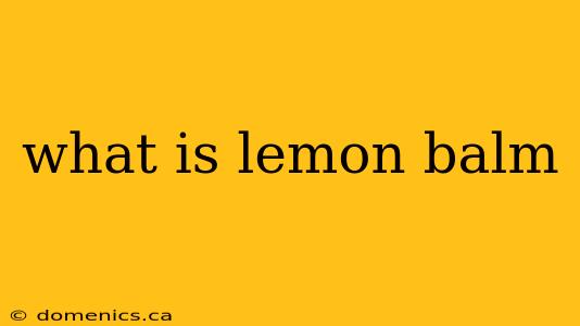 what is lemon balm