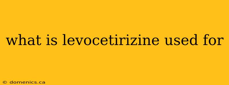 what is levocetirizine used for