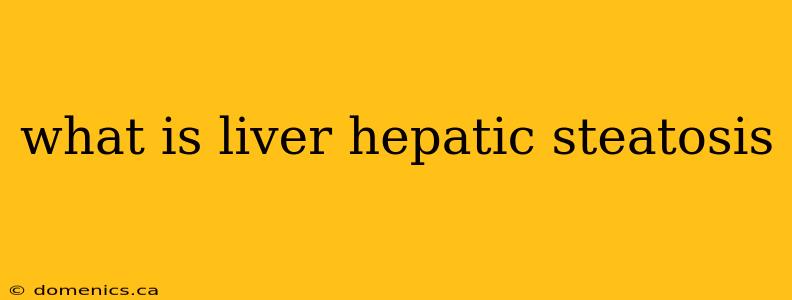 what is liver hepatic steatosis