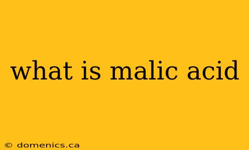 what is malic acid