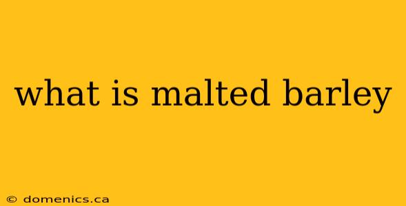 what is malted barley