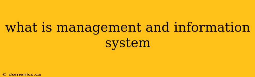 what is management and information system