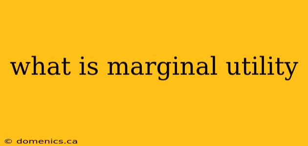 what is marginal utility