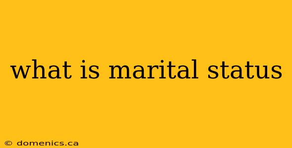 what is marital status