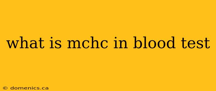 what is mchc in blood test