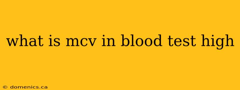 what is mcv in blood test high