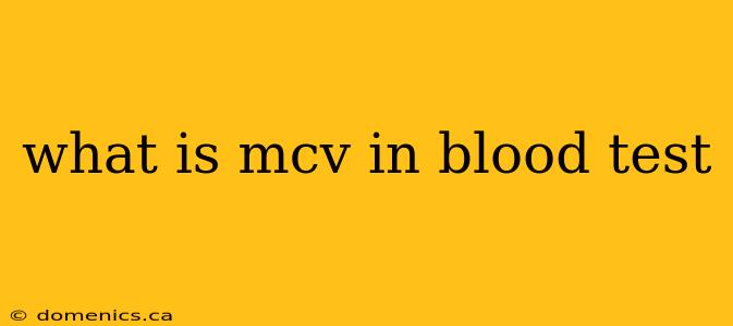 what is mcv in blood test