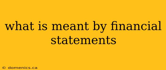 what is meant by financial statements