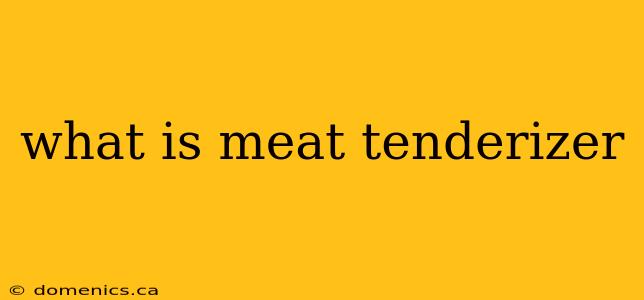 what is meat tenderizer