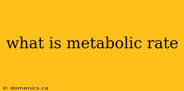 what is metabolic rate