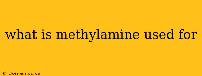 what is methylamine used for