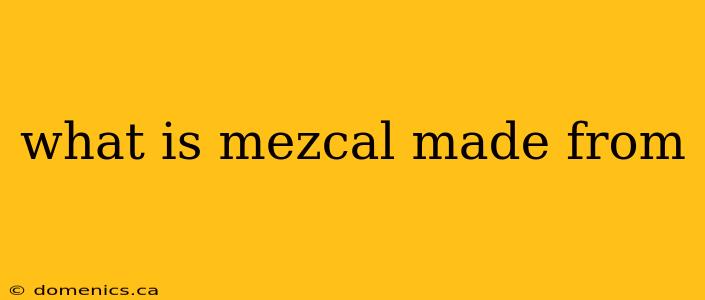 what is mezcal made from