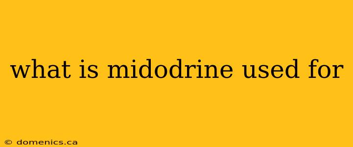 what is midodrine used for