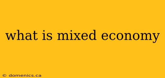 what is mixed economy