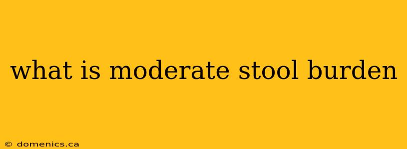 what is moderate stool burden