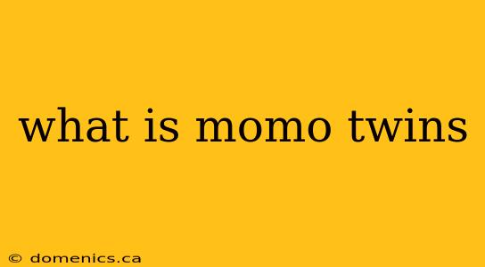 what is momo twins