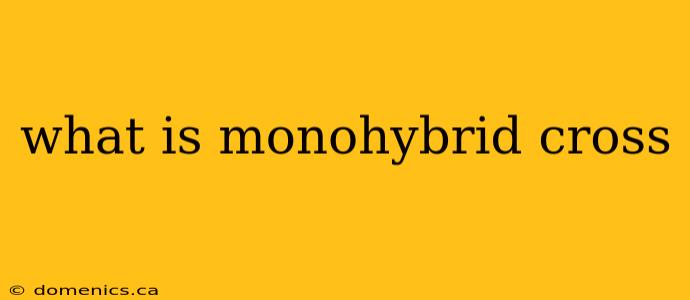 what is monohybrid cross