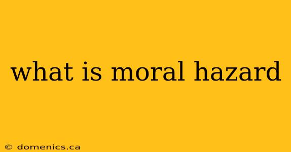 what is moral hazard