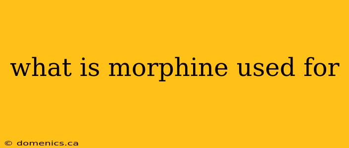 what is morphine used for