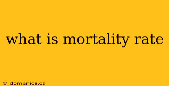 what is mortality rate