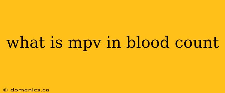 what is mpv in blood count