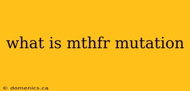 what is mthfr mutation