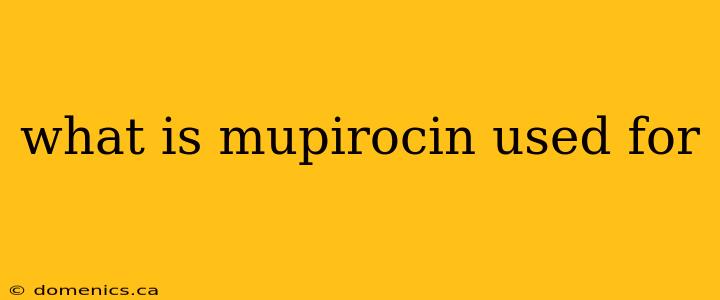 what is mupirocin used for